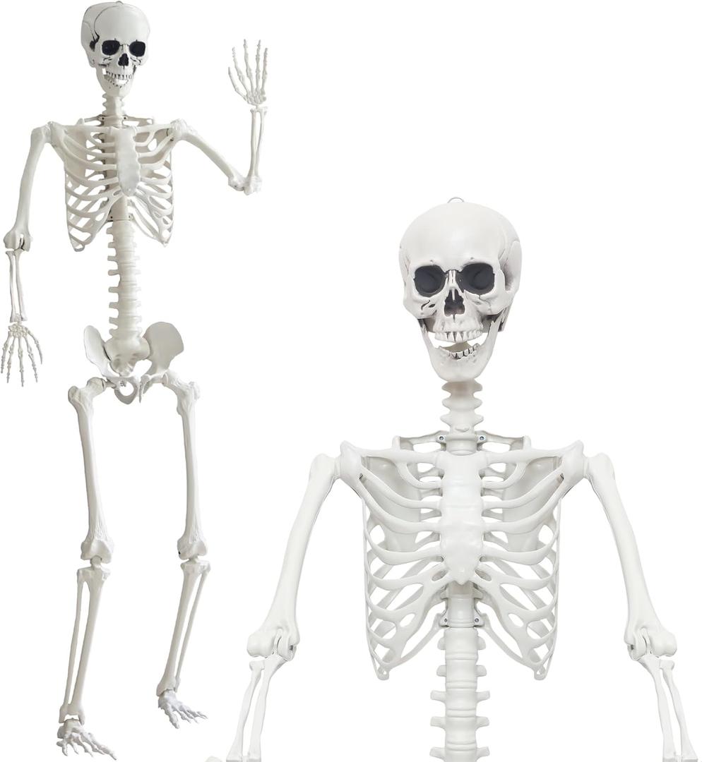 7.9Ft/240cm Halloween Giant Skeleton Life Size Skeleton Full Body Plastic Human Skeleton with Adjustable Joints for Halloween Outdoor Indoor Decoration