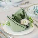 FOLINS&HOME Sage Green Heavy Duty Cloth Napkins Set of 17 - Decorative 20x20 Inch Polyester Napkins with Hemmed Edges, 210GSM, Washable & Reusable for Dinner, Wedding, Party, Banquet & Everyday Use