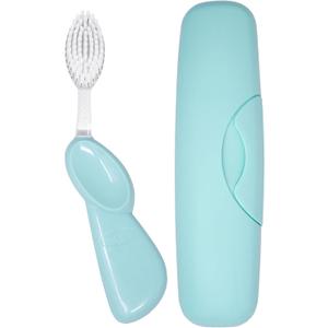 RADIUS Toothbrush Big Brush with Replaceable Brush Head BPA Free ADA Accepted - Right Hand - Pastel Mint Brush with Pastel Mint Case (1 Count (Pack of 1))