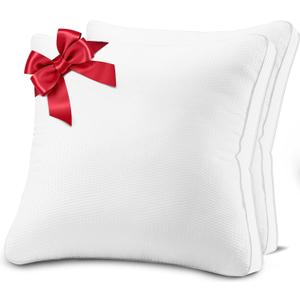 18x18 Pillows Inserts Set of 2, Throw Pillows 18 Inch Luxury Down Alternative Pillow Inserts with Double-Edge Breathable Side Mesh, Square Premium Cushion for Bed, Sofa, Couch (White)