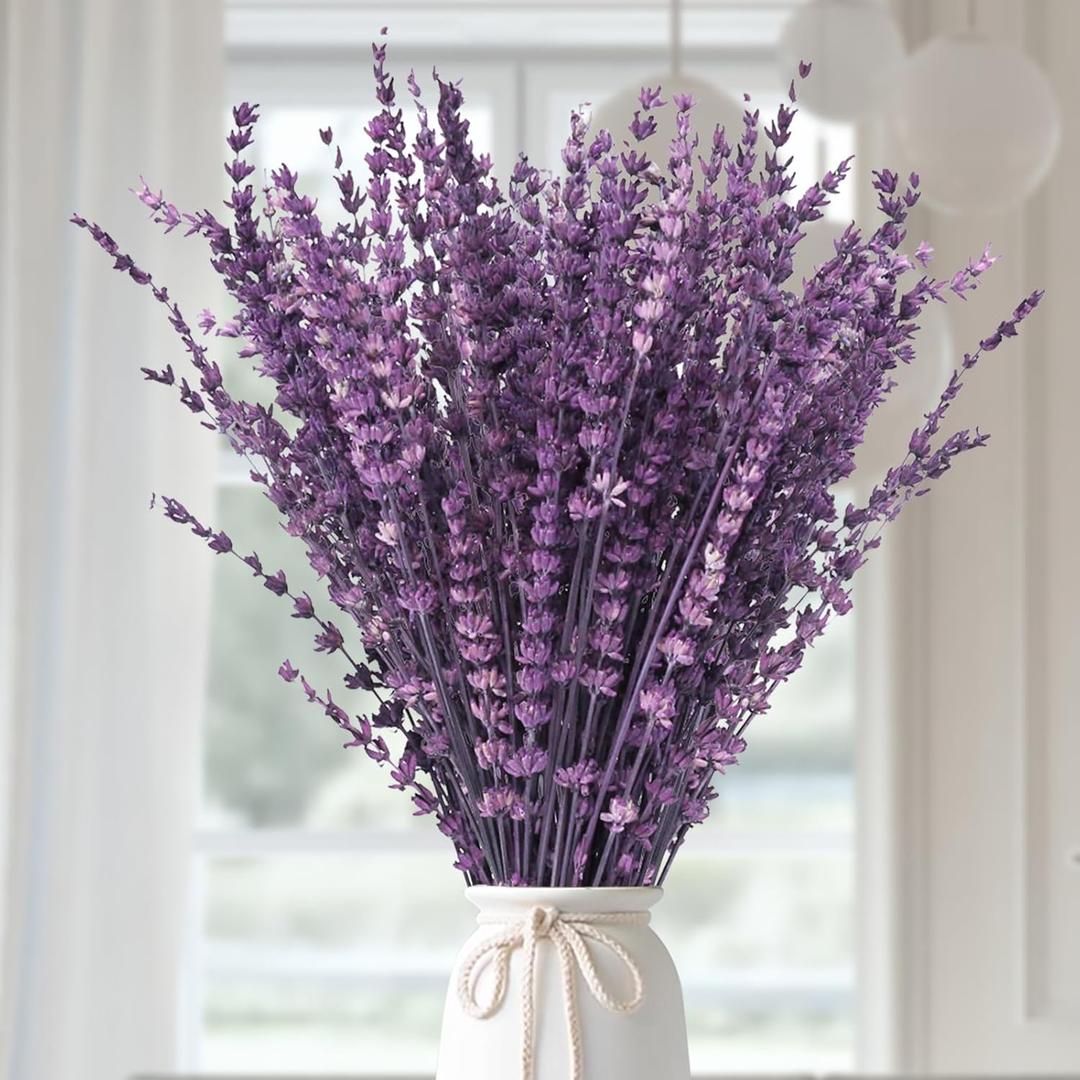 Dried Purple Lavender Flowers Bundle-Dried Preserved Lavender Bouquet 15-17" for Shower Weeding Home Vase Decor, Crafts, Aromatherapy, Fragrance, Fresh Silk Dry Live Plants, 50g(1.76oz)