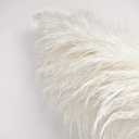 10 Stems 46" inch White Pampas Grass Decor Tall, Large Pompas Grass, Boho Neutral Home Decor Bouquet, Fluffy Pampass Grass for Floor Vase Wedding Floral Arrangements Wall Farmhouse Table Decor