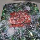 Christmas Cookie Cutters Set of 9 Pieces, Wmtidene Cookie Cutters Shapes for Winter Holiday, Metal includes Christmas Tree,Snowflake,Gingerbread Men,Angel,Star,Mitten,Candy Cane,Snowman