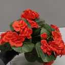 Artificial Geranium Silk Flower Bush Red 19 Inches Faux Geranium Flowers Plant for Outdoor Planter Home Patio Garden Decoration Set of 2