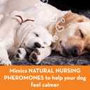 ThunderEase Dog Calming Pheromone Diffuser Kit | Powered by ADAPTIL | Vet Recommended to Relieve Separation Anxiety, Stress Barking and Chewing, and the Fear of Fireworks and Thunderstorms (60 Day Sup