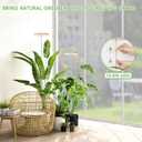 LBW Plant Grow Light,72 LEDs Full Spectrum Grow Lights for Indoor Plants,Bamboo Plant Lights with 4/8/12H Timer,Height Adjustable,Ideal for Large Tall Plants,Bamboo,2 Pack