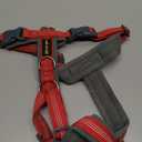 Plutus Pet No Pull Dog Harness, Adjustable Nylon Harness with Soft Padding, Reflective and Heavy Duty Dog Harness for Small, Medium, Large Dogs(Red, S)