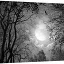 Visual Art Decor Black and White Full Moon Picture Wall Decor Nature Forest Landscape Wall Art Night Scenery Art Print Framed Ready to Hang, 20inchx36inch