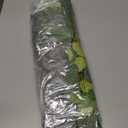 Ceenna 30 Pcs 6 Kinds Mixed Eucalyptus Leaves Stems Bulk Artificial Eucalyptus Leaves Sprays Silver Dollar Faux Greenery Picks Bundle for Wedding Vase Floral Arrangement Decor