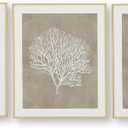 Signature Design by Ashley Framed Coral Wall Art Set of 3, Taupe, 24.4"L x 20.4"W