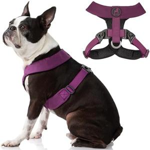 Gooby Comfort X Harness - Dual Snap, Purple, Medium - No Pull Small Dog Harness with Rotational Buckles and Patented Choke-Free X Frame, Medium