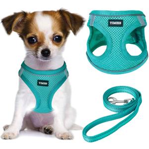 YIMEIS Dog Harness and Leash Set, No Pull Soft Mesh Pet Harness, Reflective Adjustable Puppy Vest for Small Medium Large Dogs, Cats (Turquoise, X-Small (Pack of 1)