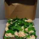 10PCS Fake Rose Garland, 7.5Ft Artificial Vines Flowers Hanging Rose Vine forfor Table Wedding Backdrop Arch Wall Party Mantle Festival Decor (Champagne)