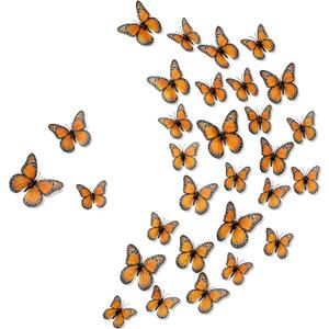 Chuangdi Monarch Butterfly Decoration 3 Size Fake Butterflies Realistic Butterfly Crafts Artificial Wall Decor for Craft Home Wedding Classroom Birthday Party Decorations(Orange,48 Pack)