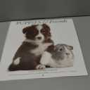 Gladstone Media, Puppies & Friends 2026 Square Wall Calendar