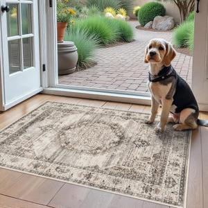 Washable Area Rugs 2x3 Entryway: Soft Ultra Thin Low Pile Mat Machine Washable Indoor Doormat Lightweight Entry Rug Anti Slip Backing Rugs for Living Room Bedroom Kitchen 2'x3' Beige