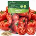 Beefsteak Tomato Seeds for Planting - 400 Heirloom Indeterminate Tomato Seeds, Vegetable Seed Packet with Instructions for Planting Home Garden Indoor & Outdoor