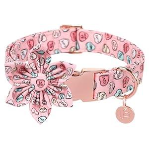 UP URARA PUP Valentine Dog Collar with Flower, Heart Flower Collar for Puppy Girl Boy Dog or Cat, Comfortable Dog Collar Flower with Durable Metal Buckle, Cute Pet Collar, XS