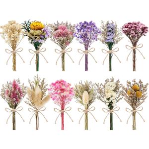 LawnIdyll 12/24 PCS Charming Dried Flowers Bouquet for Vase Various Dried Wildflowers with Stems Mini Handmade Wildflowers Natural Real Flowers Bulk Flowers Craft (Various Series, 12 PCS)