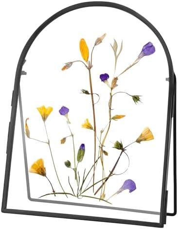 REDHUGO Double Glass Frame for Pressed Flowers Handmade, Metal Floating Picture Frame for Pressed Flower, Tabletop Display, Brass, ArcShaped, Black, 6x8 inches (FRAME ONLY)