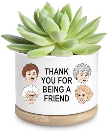Friend Gifts for Women, Funny Succulent Planter, Flower Cactus Plant Pot, Friendship Gifts for Friend Bestie Sister Birthday, Thank You for Being a Friend Golden Girls Merchandise (Plant Not Included)