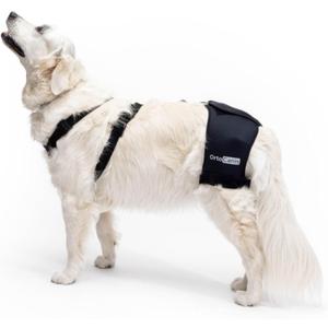 Ortocanis - Hip Support for Dogs with Hip Dysplasia or Osteoarthritis (S)