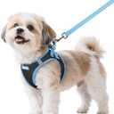 Rabbitgoo Dog Harness Small Sized and Leash Set, Step-in Breathable Pet Harness, Soft Walking Reflective Puppy Vest for Dogs, Black & Light Blue, S (Chest: 15.1 - 16.5")
