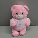 Deekin Get Well Soon Gifts for Kids Injured Recovery Bear Stuffed Animal Gifts Bear for Kids Adult with Broken Arm After Surgery Soft Bandage Plush 10 Inches (Pink,Arm Injury)