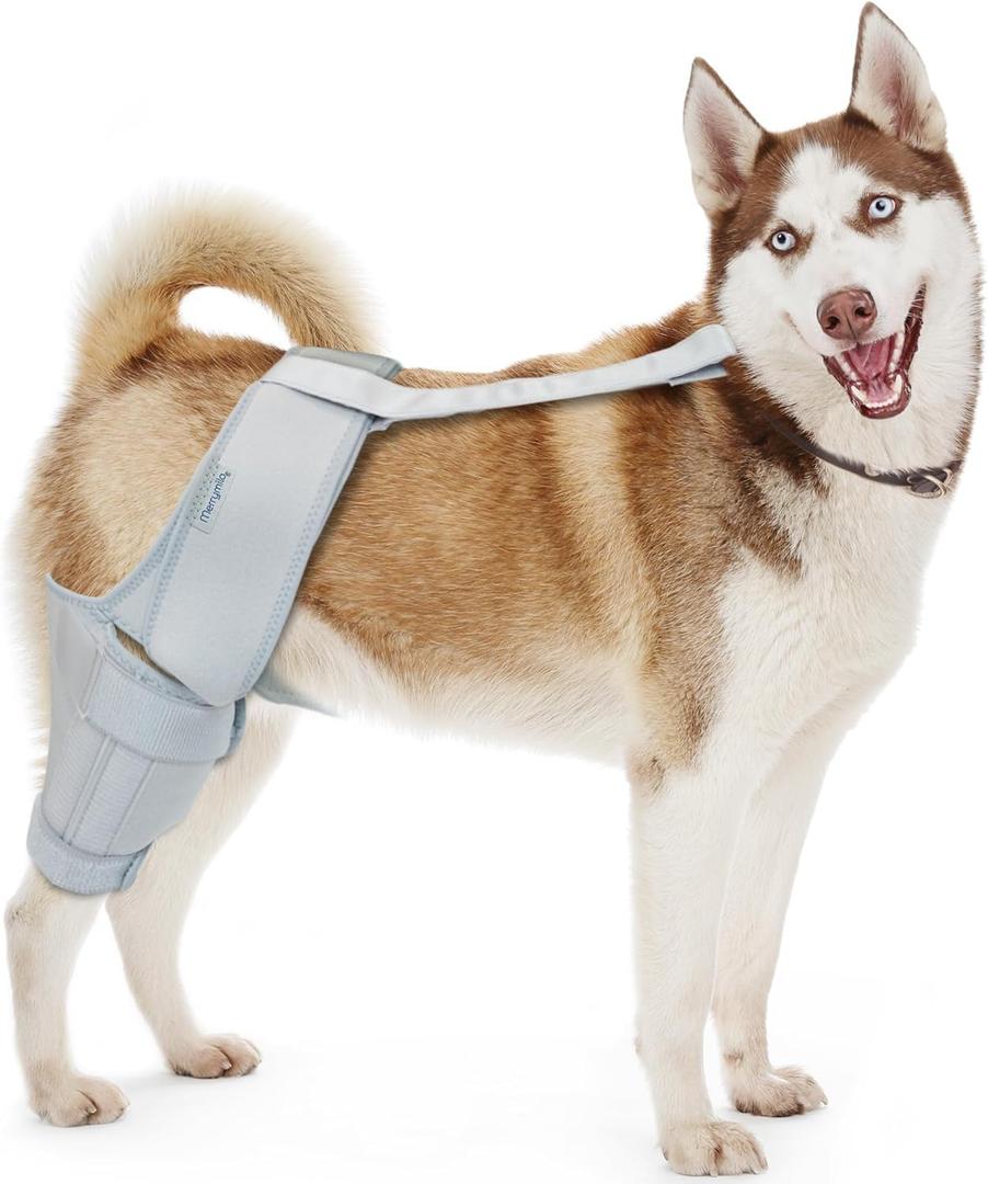 Dog Knee Brace, Support for Cruciate Ligament Injuries, Patella Dislocation for Both Back and Front Legs, Color: Silver, Size: M (M(7.3'-10.2'))