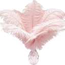 Piokio 20pcs Natural Light Pink Ostrich Feathers 10-12 inch (25-30cm) Bulk Feathers for Home Decoration and DIY Clothing and DIY Clothes Decoration, Gatsby Decorations
