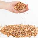 3lb Cactus Pea Gravel Rocks,1/5 Inch Pebbles for Indoor Plants, Natural Succulent Rock and River Rocks Decorative for Aquariums, Vases, Terrarium, Outdoor Gardening, Top Dressing for Potted Plants (Mixed Colorful)