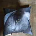  pillow with a cat, 14*14 In