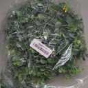 DearHouse Faux Eucalyptus Garland Plant, 2 Pack Artificial Vines Hanging Eucalyptus Leaves Greenery Garland for Wedding Backdrop Arch Wall Decor, 6 Feet/pcs UV Protected Indoor Outdoor