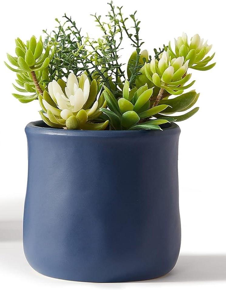 Artificial Succulent in Ceramic Pots, 2 Packs Large Faux Fake Plants Navy Blue for Desk,Office, Bedroom, Living Room, Bathroom Office Shelf Home Dcor