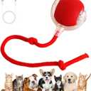 Interactive self rolling toy ball for cats/dogs 360 Smart Automatic Rolling Ball Toy Electric Dog Balls for Dog/Cat (Red/Green/Gray)