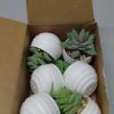 Der Rose Set of 6 Succulents Plants Artificial in Pots Small Fake Plants for Bedroom Aesthetic Living Room Shelf Bathroom Decor Office Desk Accessories (Green)