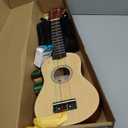 Everjoys Soprano Ukulele Beginner Kit 21 Inch w/Free Online Lesson Gig Bag Tuner Picks Strap, Fast to Learn (Rainbow String)
