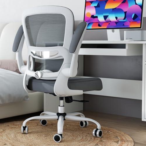 TRALT Office Chair - Ergonomic Desk Chair with Adjustable Lumbar Support, Mesh Computer Chair, Executive Chair for Home Office Comfortable Lumbar Support (1, Fog Gray)