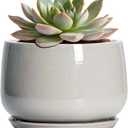 G EPGardening Ceramic Pots for Plants - 6 Inch Plant Pot with Drainage and Ceramic Tray, Modern Succulent Pots, Round Planters for Indoor Plants, Living Room Decor, Gifts for Plant Lovers, Light Grey