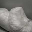 EIUE Hotel Collection Bed Pillows for Sleeping 2 Pack Queen SizePillows for Side and Back Sleepers,Super Soft Down Alternative Microfiber Filled Pillows,20 x 30 Inches (White)