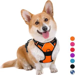 BARKBAY No Pull Dog Harness Large Step in Reflective Dog Harness with Front Clip and Easy Control Handle for Walking Training Running (Orange,M) (Medium)