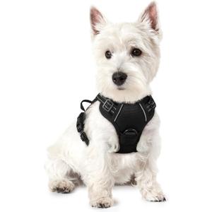 rabbitgoo Dog Harness No Pull with 2 Leash Clips, Adjustable Soft Padded, Reflective Oxford No Choke Pet Vest with Easy Control Handle for Puppy, Black, XS