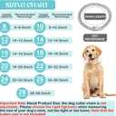Tallew Silver Dog Chain Diamond Collar Walking Metal Chain Necklace with Secure Buckle Pet Cuban Style Collar Jewelry Accessories for Small Medium Large Dog Cats(22 Inch)