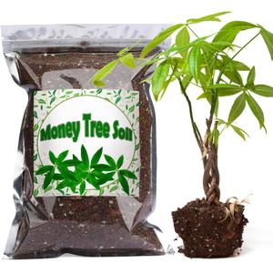 Doter Organic Money Tree Soil Mix 1qt, Indoor Plants Potting Mix for All Potted Money Tree, Grow Healthy houseplants Indoors