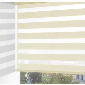 ChrisDowa Cordless Zebra Blinds for Windows, Dual Layer Free-Stop Light Filtering Window Roller Shades, Pull Down Privacy Zebra Shades for Home, Office, Bedroom, Door (37" W x 72" H, Beige)