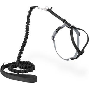 PetSafe Come with Me Kitty Harness and Bungee Leash Adjustable, Lightweight Harness for Cats Small, Black