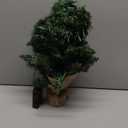 Small Christmas Tree with Lights,2ft Pre Lit Artificial Mini Xmas Tree for Tabletop,Outdoor,Bedroom,Office Decorations,Includes 50 Led Warm Lights,73 PVC Branch Tips,GreenBattery Operated