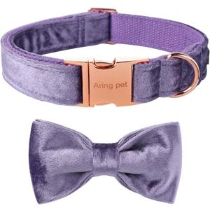 ARING PET Bowtie Dog Collar-Velvet Dog Collars with Removable Bowtie, Cute &Comfortable Purple Dog Collar,Small. (Small (Pack of 1))