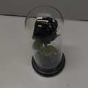 QUELIEN Preserved Black Rose,Light Up Rose in Glass Dome,Rose Flower Presents for Birthday,Mother's Day,Anniversary