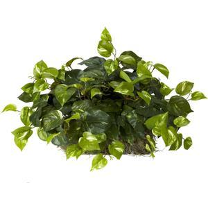 Nearly Natural 15in. Pothos Ledge Plant (Set on Foam) Silk Plant,Green